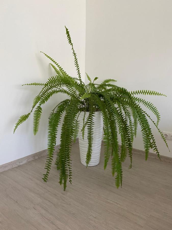 Centra Apartamenti Alūksne Exterior foto
